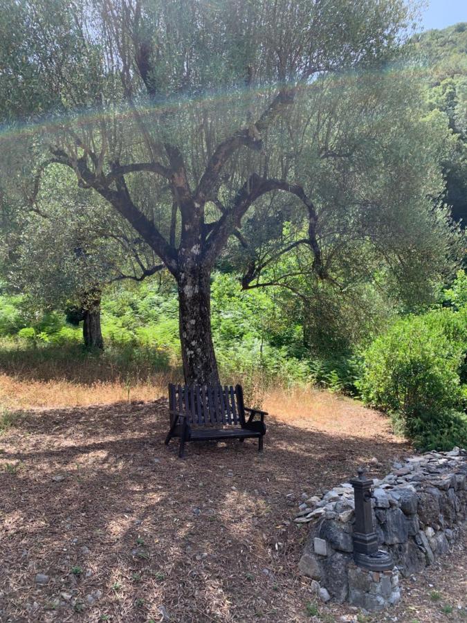 I Suoni di Valle Martina Poderia Esterno foto