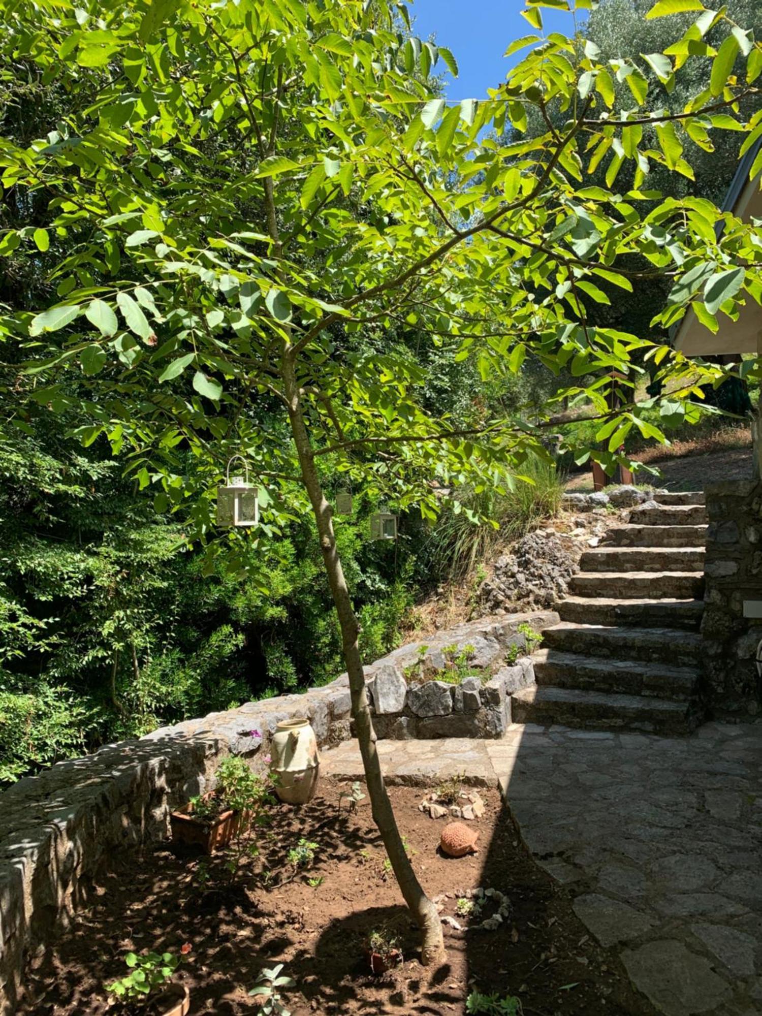 I Suoni di Valle Martina Poderia Esterno foto