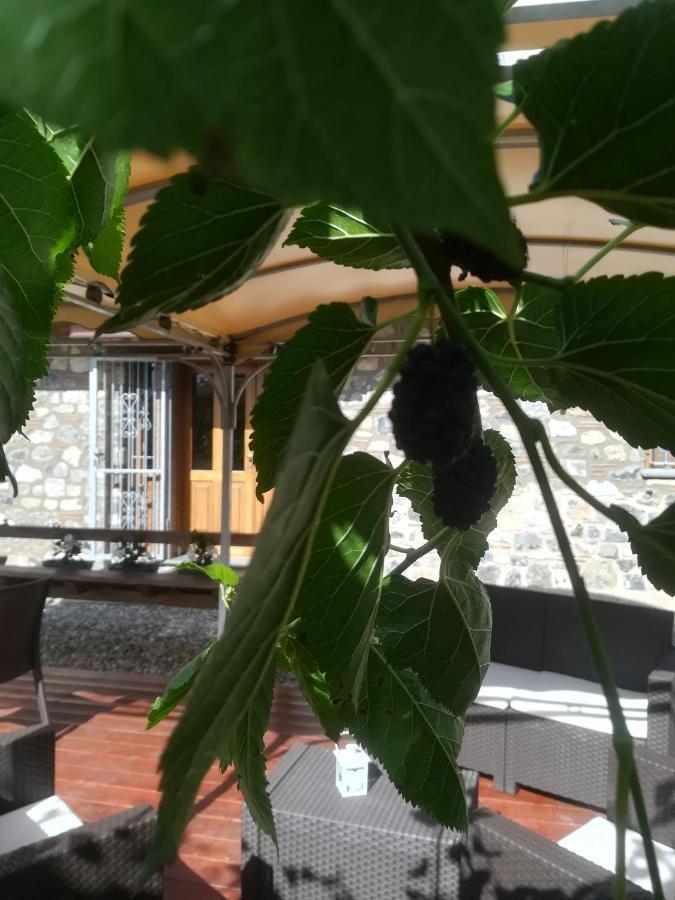 I Suoni di Valle Martina Poderia Esterno foto